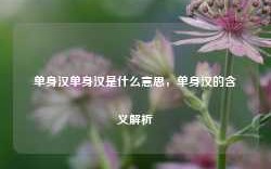 单身汉单身汉是什么意思，单身汉的含义解析