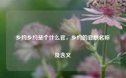 乡约乡约是个什么官，乡约的官职名称及含义