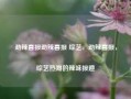 劲辣喜报劲辣喜报 综艺，劲辣喜报，综艺热潮的辣味报道