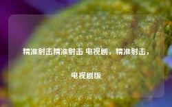 精准射击精准射击 电视剧，精准射击，电视剧版