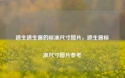 逃生逃生窗的标准尺寸图片，逃生窗标准尺寸图片参考