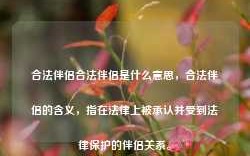 合法伴侣合法伴侣是什么意思，合法伴侣的含义，指在法律上被承认并受到法律保护的伴侣关系。