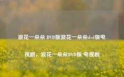 浪花一朵朵 DVD版浪花一朵朵dvd版电视剧，浪花一朵朵DVD版 电视剧