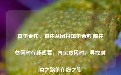 再见金钱，前往贫困村再见金钱,前往贫困村在线观看，再见贫困村，寻找财富之路的在线之旅