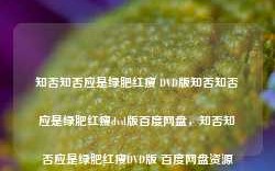 知否知否应是绿肥红瘦 DVD版知否知否应是绿肥红瘦dvd版百度网盘，知否知否应是绿肥红瘦DVD版 百度网盘资源