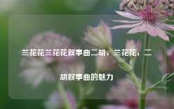 兰花花兰花花叙事曲二胡，兰花花，二胡叙事曲的魅力