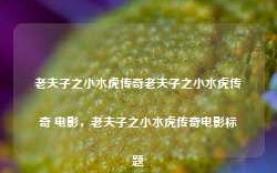 老夫子之小水虎传奇老夫子之小水虎传奇 电影，老夫子之小水虎传奇电影标题