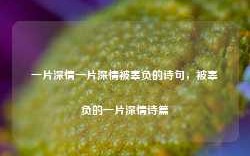 一片深情一片深情被辜负的诗句，被辜负的一片深情诗篇