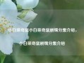 小白菜奇案小白菜奇案剧情分集介绍，小白菜奇案剧情分集介绍