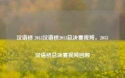 汉语桥 2013汉语桥2013总决赛视频，2013汉语桥总决赛视频回顾