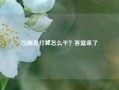 马斯克打算怎么干？答案来了