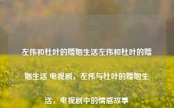 左伟和杜叶的婚姻生活左伟和杜叶的婚姻生活 电视剧，左伟与杜叶的婚姻生活，电视剧中的情感故事