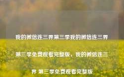 我的微信连三界第三季我的微信连三界第三季免费观看完整版，我的微信连三界 第三季免费观看完整版