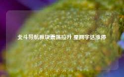 北斗导航板块震荡拉升 星网宇达涨停