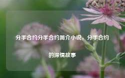 分手合约分手合约简介小说，分手合约的深情故事