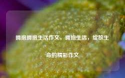 拥抱拥抱生活作文，拥抱生活，绽放生命的精彩作文