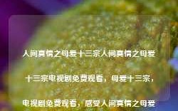 人间真情之母爱十三宗人间真情之母爱十三宗电视剧免费观看，母爱十三宗，电视剧免费观看，感受人间真情之母爱