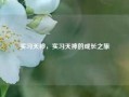 实习天神，实习天神的成长之旅