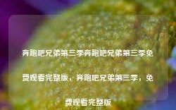 奔跑吧兄弟第三季奔跑吧兄弟第三季免费观看完整版，奔跑吧兄弟第三季，免费观看完整版