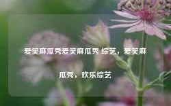 爱笑麻瓜秀爱笑麻瓜秀 综艺，爱笑麻瓜秀，欢乐综艺