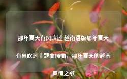 那年夏天有风吹过 越南语版那年夏天有风吹过主题曲插曲，那年夏天的越南风情之歌