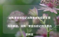 汤姆.索亚历险记汤姆索亚历险记主要内容概括，汤姆·索亚历险记的主要内容概括