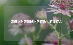 听候吩咐听候吩咐的英语，听令待命