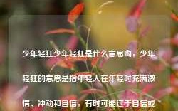 少年轻狂少年轻狂是什么意思啊，少年轻狂的意思是指年轻人在年轻时充满激情、冲动和自信，有时可能过于自信或轻率地行事。这个词语通常带有一定的贬义，暗示着年轻人在年轻时可能会因为过于冲动而做出错误的决定或行为。