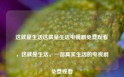 这就是生活这就是生活电视剧免费观看，这就是生活，一部真实生活的电视剧免费观看