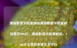 潇湘影视学院星剧场潇湘影视学院星剧场要交9800元，潇湘影视学院星剧场，9800元学费的表演艺术平台