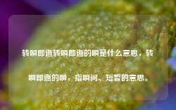 转瞬即逝转瞬即逝的瞬是什么意思，转瞬即逝的瞬，指瞬间、短暂的意思。