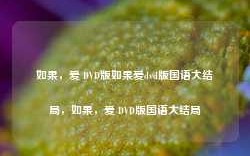 如果，爱 DVD版如果爱dvd版国语大结局，如果，爱 DVD版国语大结局