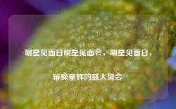 明星见面日明星见面会，明星见面日，璀璨星辉的盛大聚会