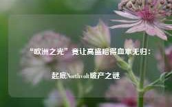 “欧洲之光”竟让高盛赔得血本无归：起底Northvolt破产之谜