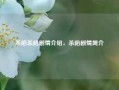 杀陷杀陷剧情介绍，杀陷剧情简介