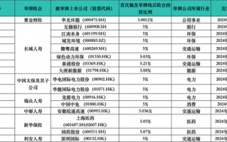 耗资超320万港元举牌深圳国际 能解利安人寿“增收不增利”难题吗？