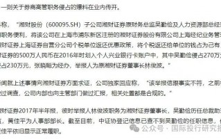 大瓜后续！200亿市值湘财股份原董事长林俊波，举报原财务总和人力总职务侵占上海个税返还500万