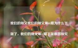 我们的师父我们的师父第11期为什么下架了，我们的师父第11期下架原因探究