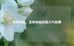 金牌师姐，金牌师姐的魅力与智慧