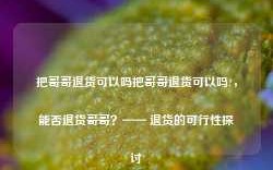 把哥哥退货可以吗把哥哥退货可以吗?，能否退货哥哥？—— 退货的可行性探讨