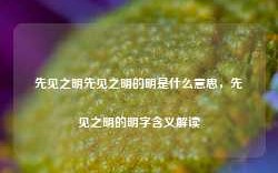 先见之明先见之明的明是什么意思，先见之明的明字含义解读