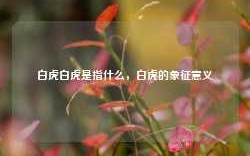 白虎白虎是指什么，白虎的象征意义