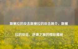 斯黛拉的反击斯黛拉的反击简介，斯黛拉的反击，逆袭之旅的精彩揭秘