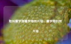 她叫蕾梦娜蕾梦娜照片墙，蕾梦娜的照片墙