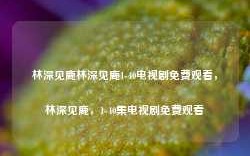 林深见鹿林深见鹿1-40电视剧免费观看，林深见鹿，1-40集电视剧免费观看