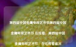 第四届中国金鹰电视艺术节第四届中国金鹰电视艺术节 在线看，第四届中国金鹰电视艺术节，在线观看盛况