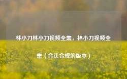 林小刀林小刀视频全集，林小刀视频全集（合法合规的版本）