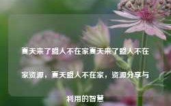 夏天来了盟人不在家夏天来了盟人不在家资源，夏天盟人不在家，资源分享与利用的智慧