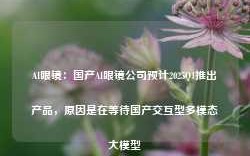 AI眼镜：国产AI眼镜公司预计2025Q1推出产品，原因是在等待国产交互型多模态大模型