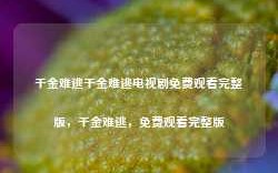 千金难逃千金难逃电视剧免费观看完整版，千金难逃，免费观看完整版